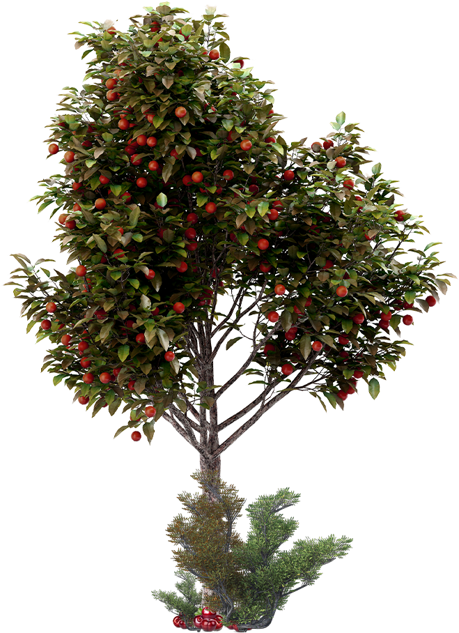 Forbidden Tree