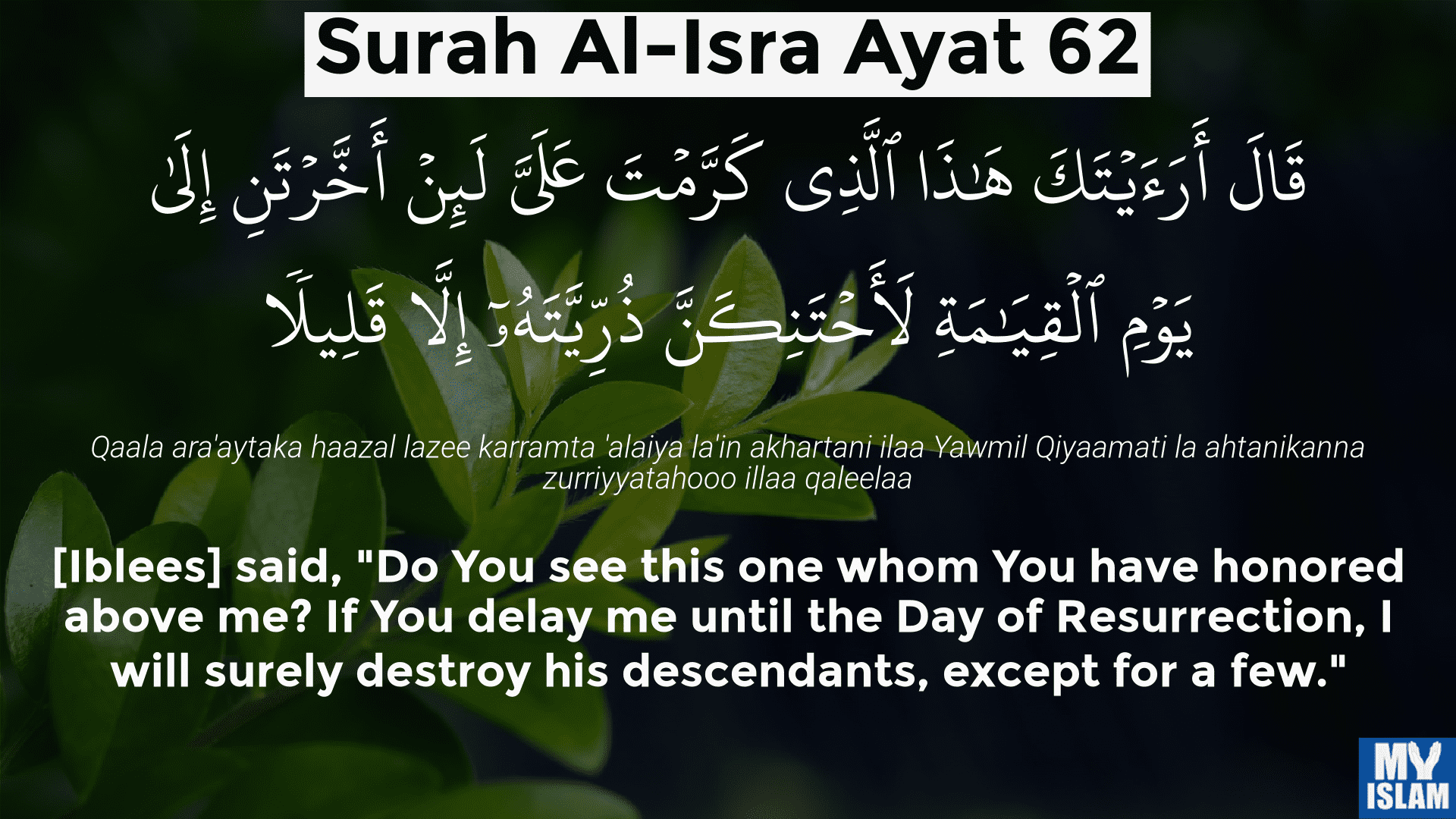 Quran Surah Al Isra Ayat Tafsir Surat Al Isra Ayat Beserta Hot Sex Picture 2920