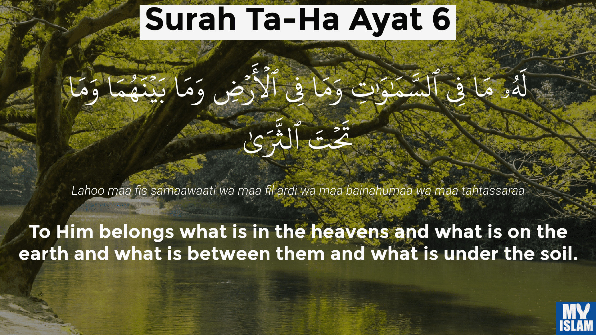 surah taha ayat 6