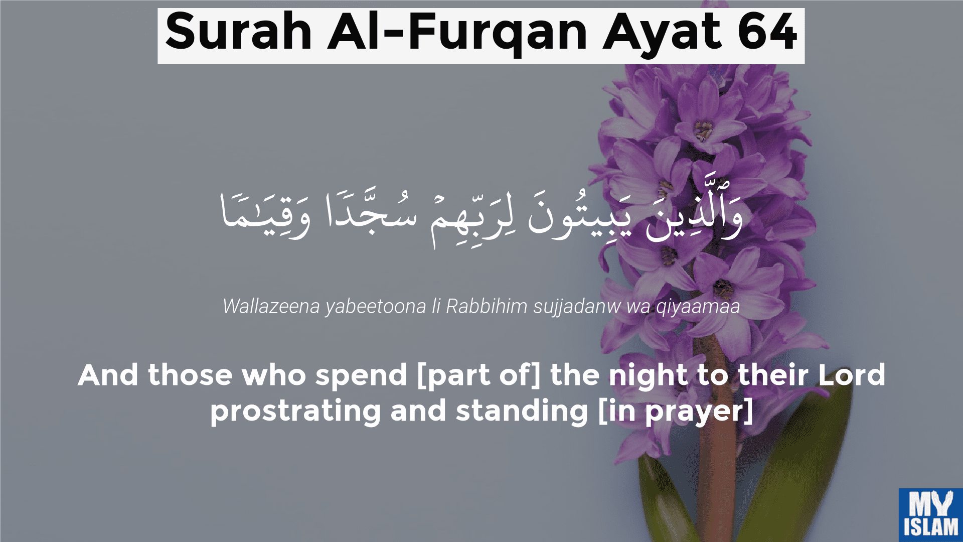 surah furqan ayat 64