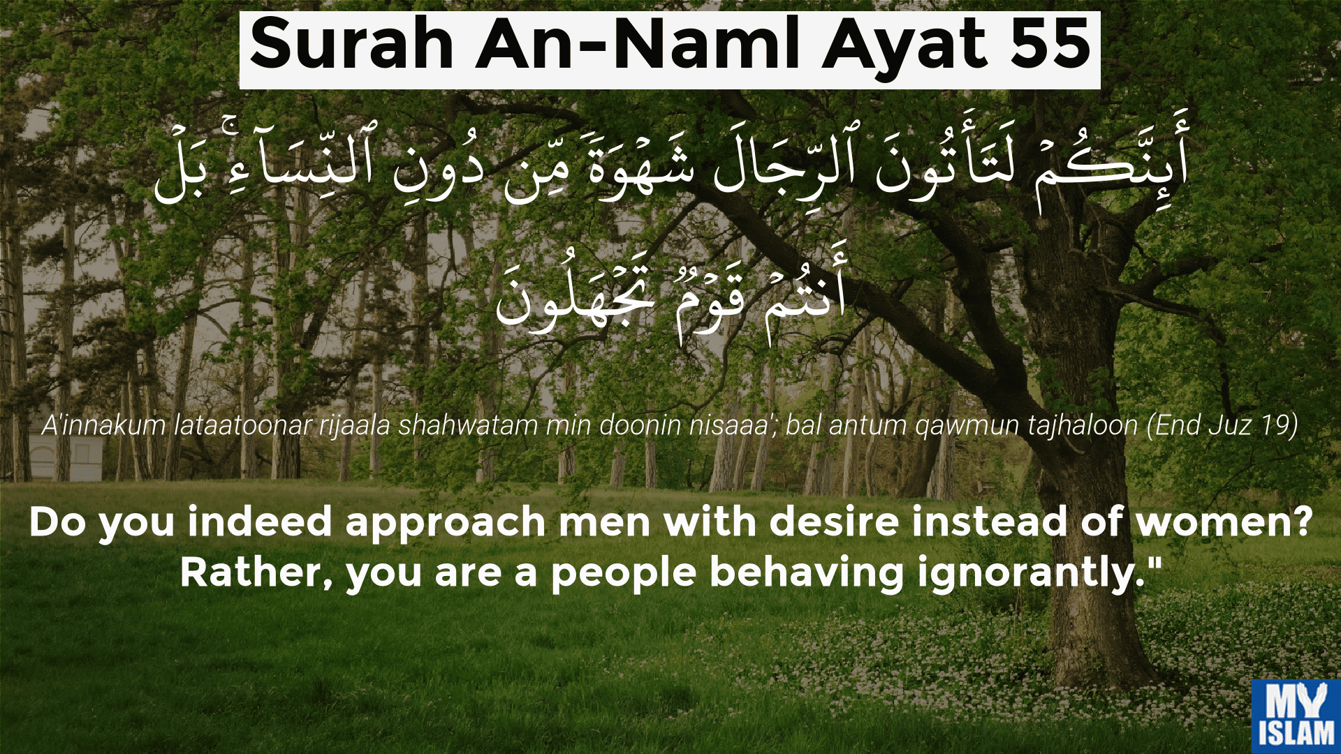 surah an-naml ayat 55