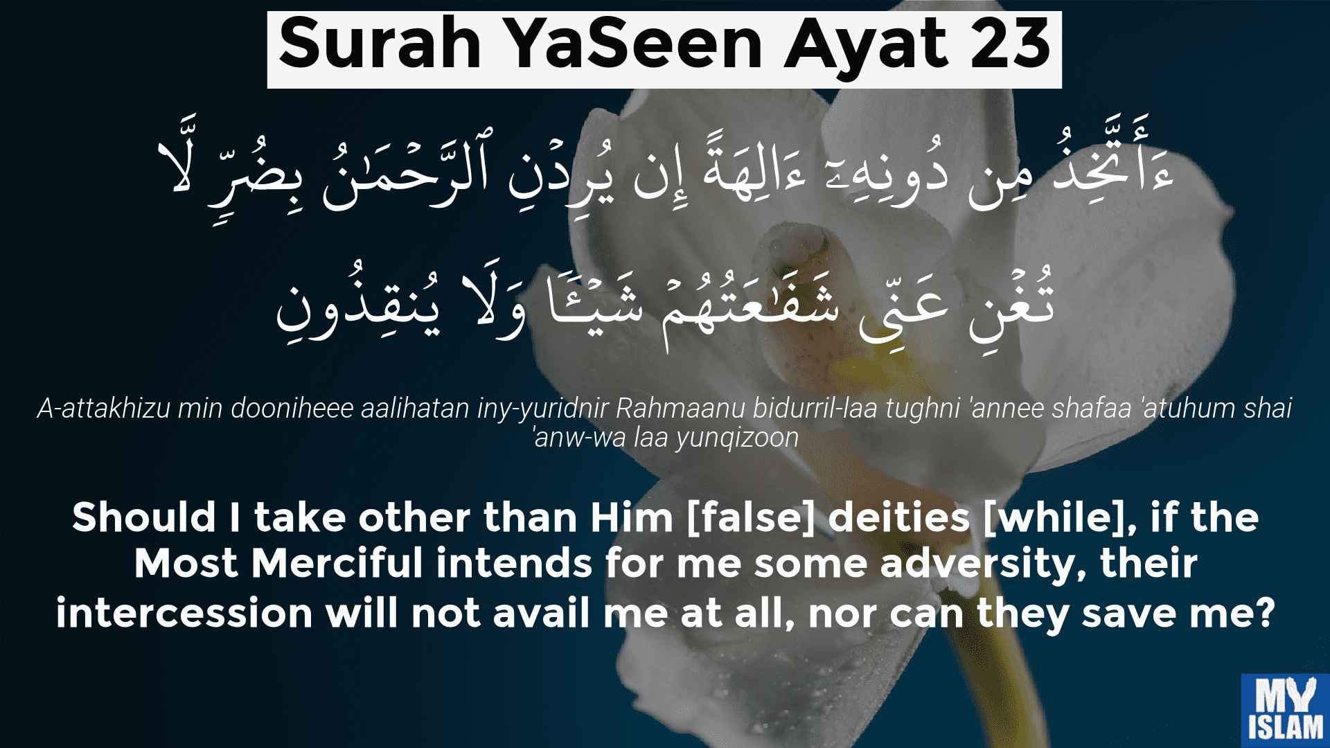 Surah Yaseen Ayat Quran With Tafsir My Islam