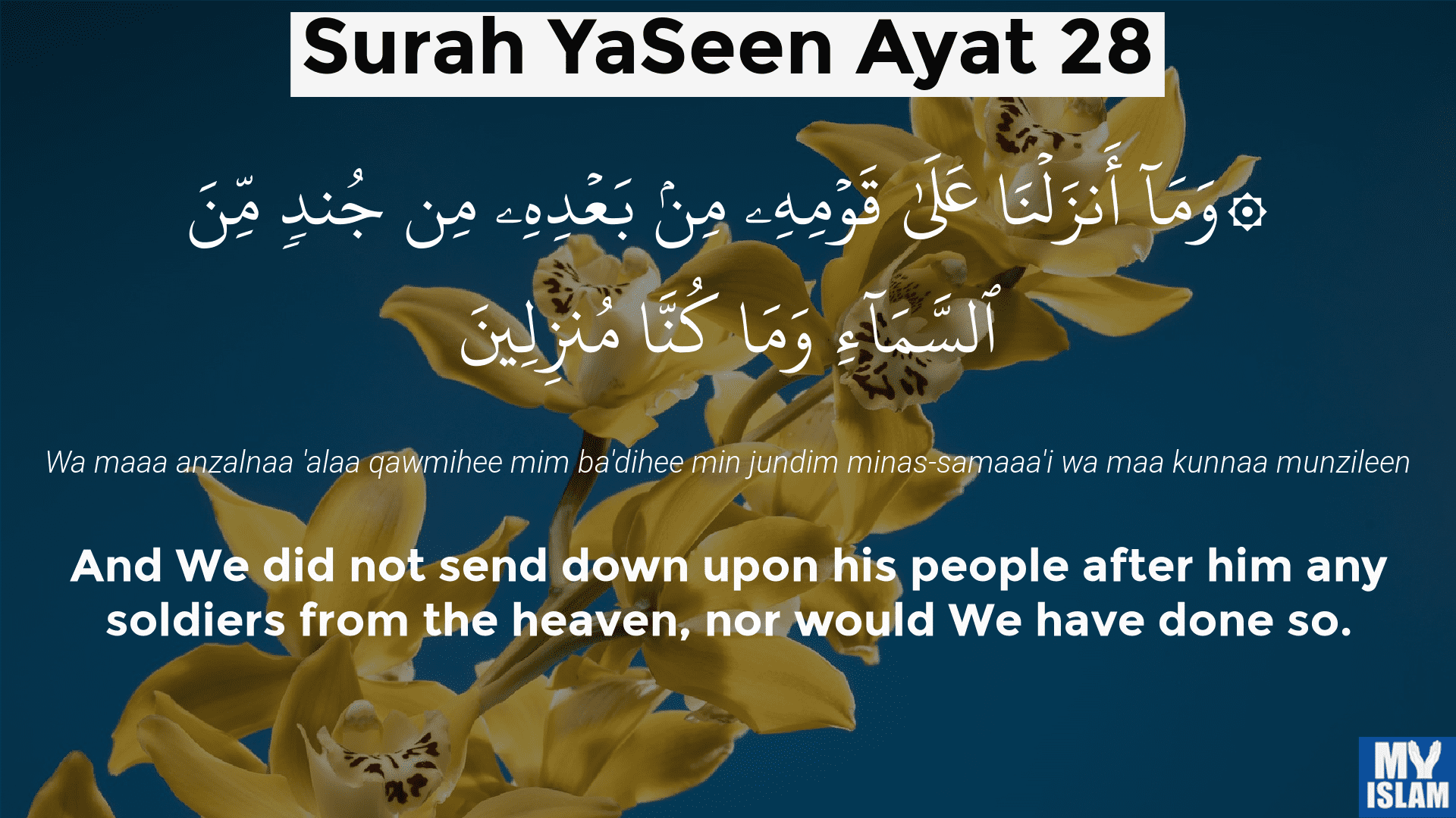 surah yaseen ayat 28