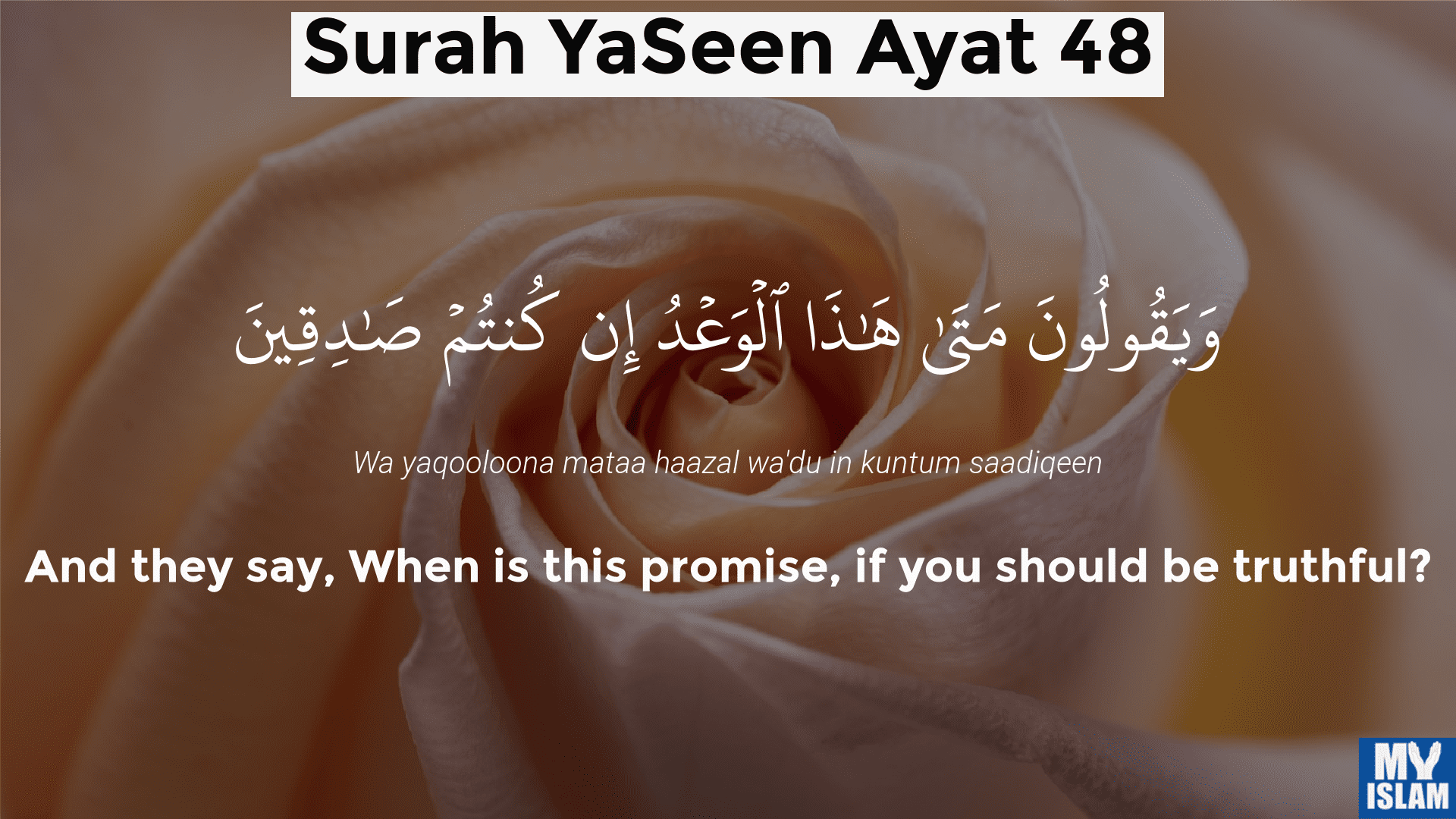 surah yaseen ayat 48