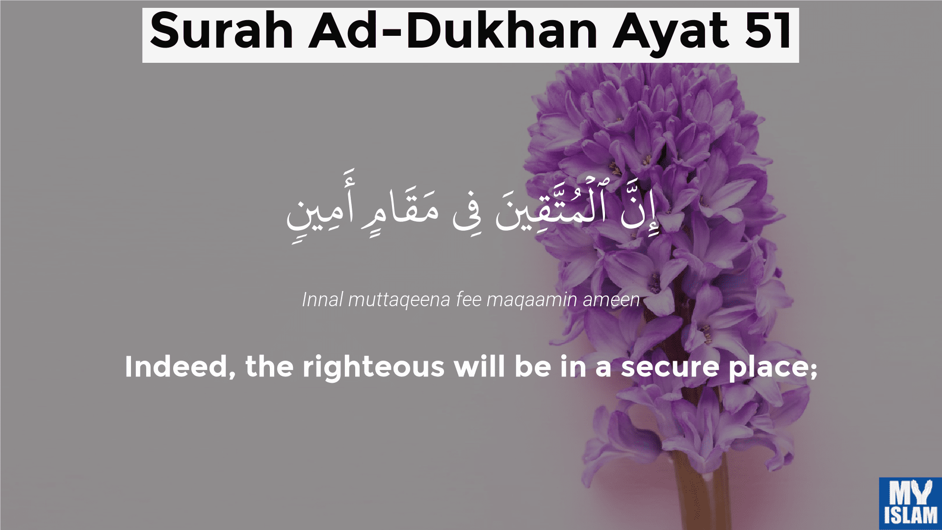 surah ad-dukhan ayat 51