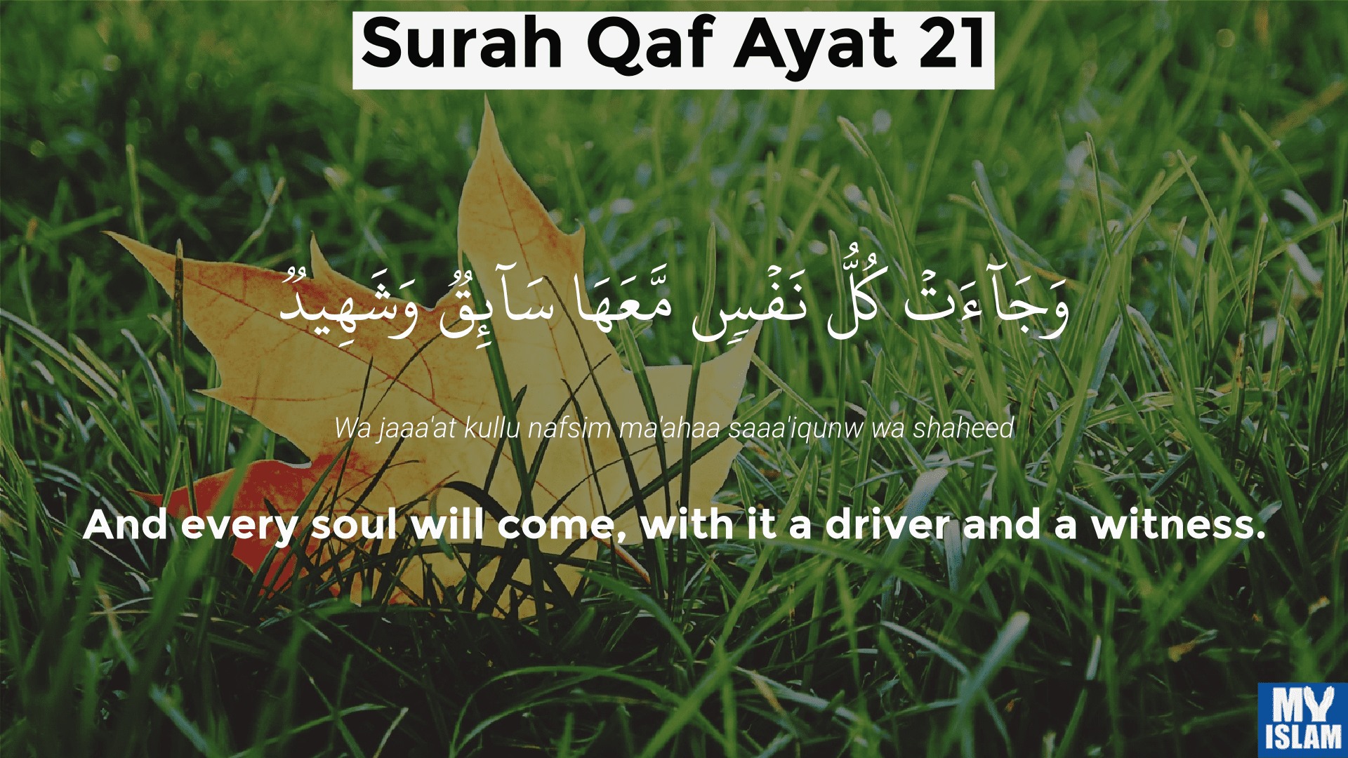 surah qaf ayat 21