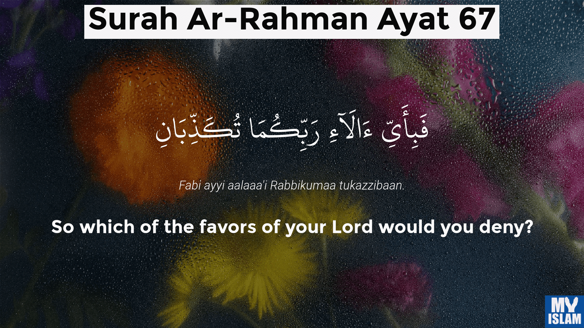 surah ar-rahman ayat 67