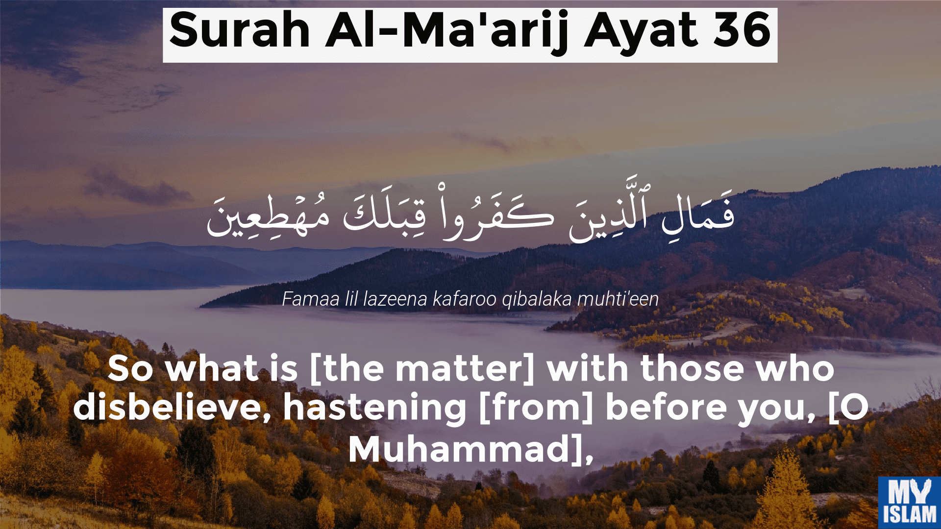 surah maarij ayat 36