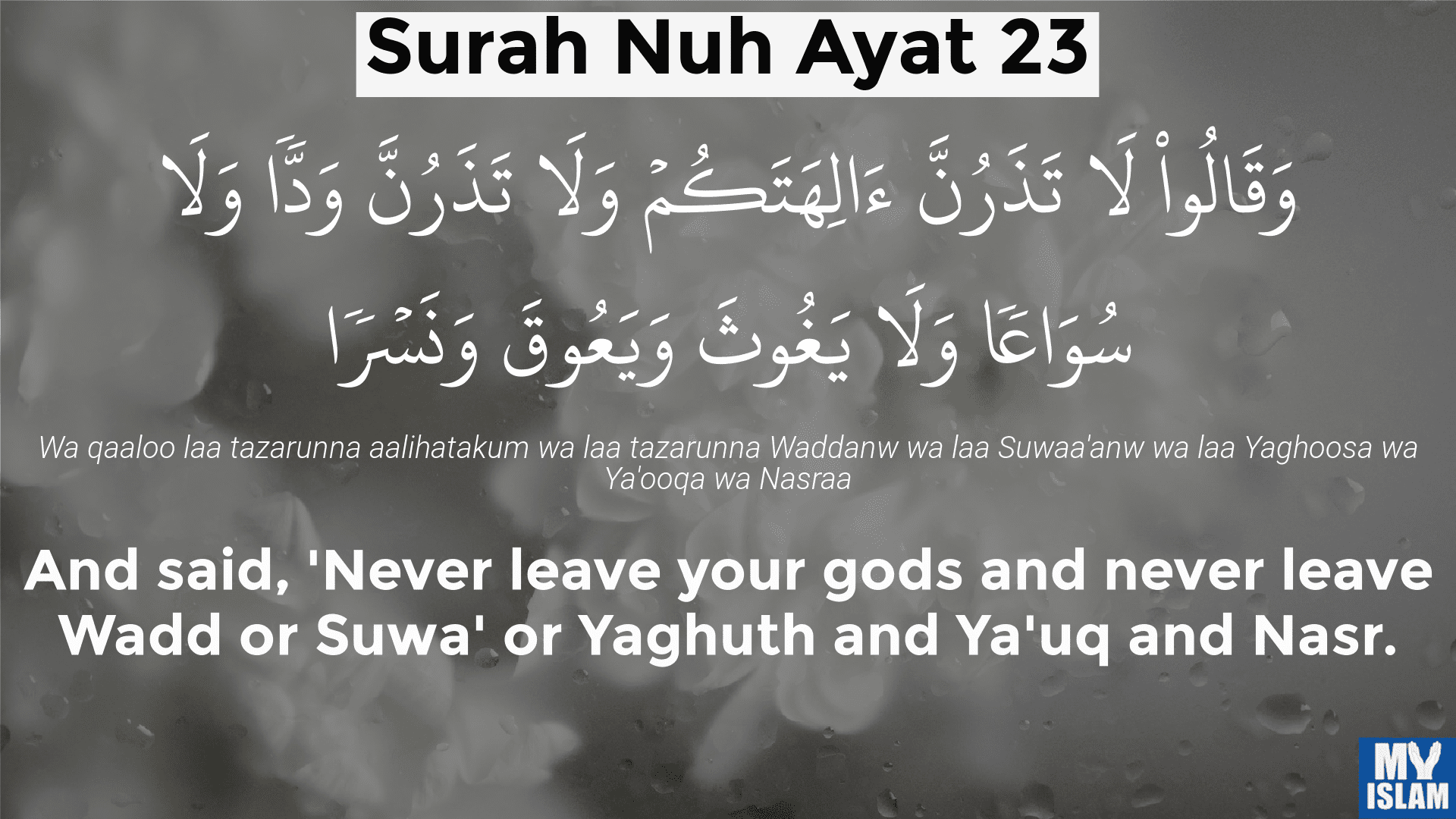 Surah Nuh Ayat 19 71 19 Quran With Tafsir My Islam Surah Nuh Ayat 19 71 19 Quran With Tafsir My Islam