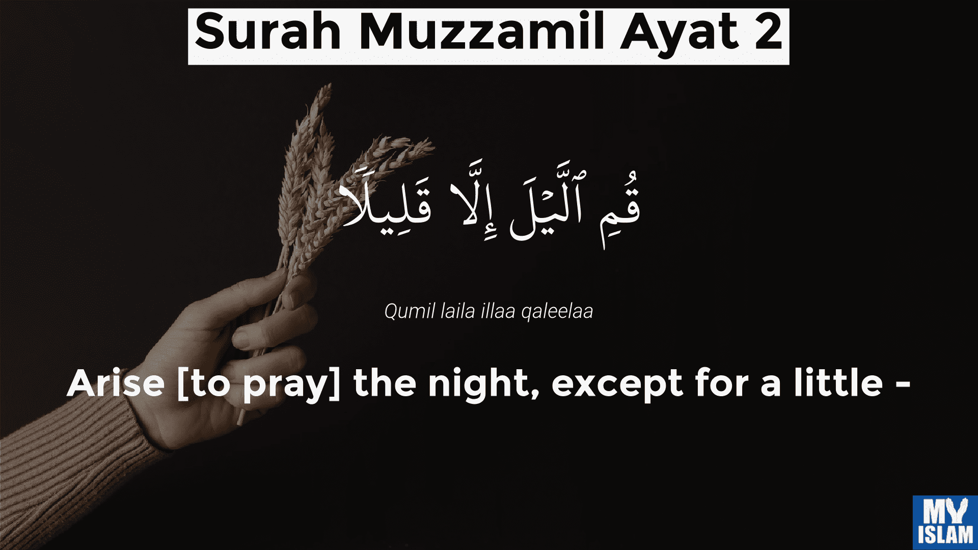 surah muzzamil ayat 2